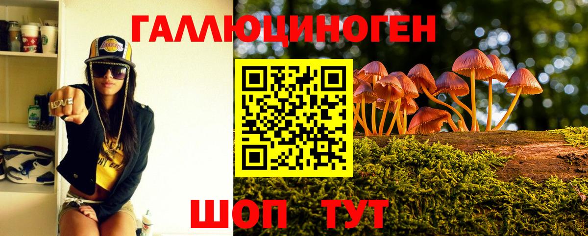 Новомосковск  Псилоцибиновые грибы GOLDEN TEACHER  Вход с VPN  Галлюциногенные грибы MAGIC MUSHROOMS 